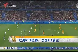 欧洲杯预选赛猪突猛进轰动若波涛的简单介绍